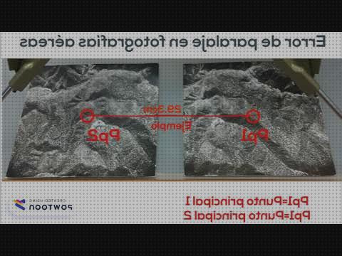 Las mejores marcas de Más sobre estereomicroscopio binocular Más sobre minox 62216 binocular binocular paralaje binocular