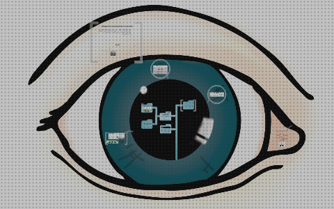 ¿Dónde poder comprar visión binocular binocular paralaje visión binocular?