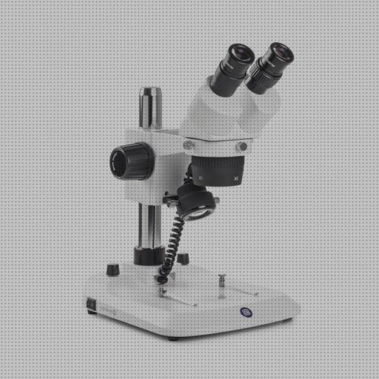 Las mejores práctica lupa binocular binocular practicas con lupa binocular