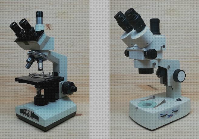 Las mejores marcas de Más sobre binocular 8x36 Más sobre binocular 8x36 Más sobre estereomicroscopio binocular tardigrados lupa binocular