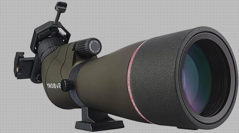 Review de telescopio terrestre ornitologia