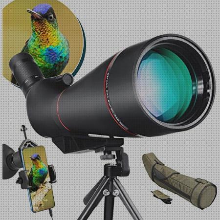 Review de telescopios terrestres aves