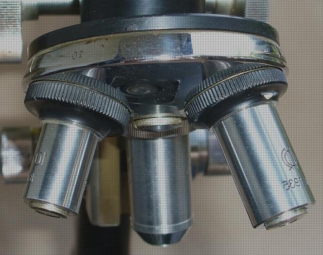 ¿Dónde poder comprar tubos tubo principal del microscopio optico?